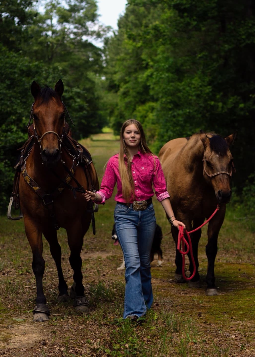 A girl walking down a wooded path between two horses